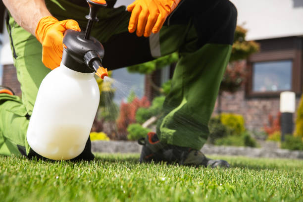 Professional Pest Control in Darien, WI