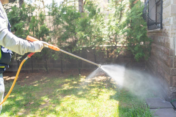 Best Emergency Pest Control  in Darien, WI