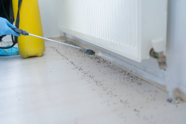 Best Pest Control Near Me  in Darien, WI
