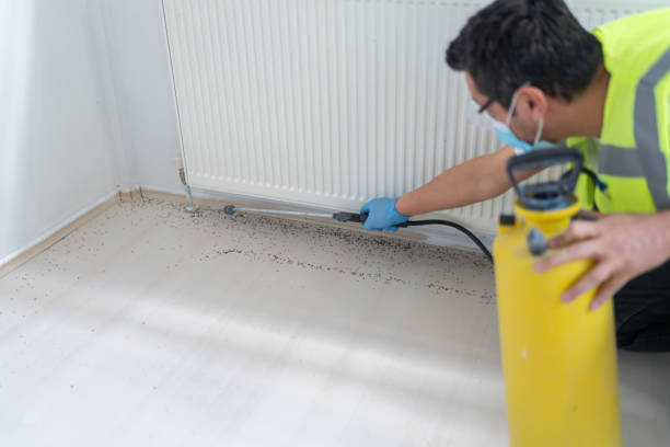 Best Cockroach Control Services  in Darien, WI