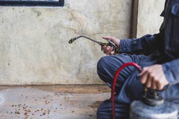 Best Local Pest Control Services  in Darien, WI